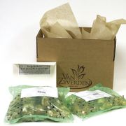 Deer Resistant Bulb Garden in a Bag Alternate Image 2