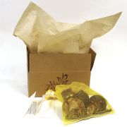 Garden Mix Amaryllis Bulbs Alternate Image 2