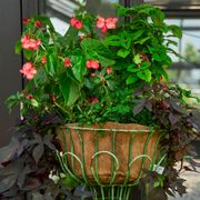 Smart Pot&reg; NoCoco&trade; Liner 16-inch Fabric Planter (Natural) Alternate Image 2