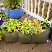 Smart Pot&reg; Urban Lil' Shorty Raised Bed Fabric Planter (Green) Alternate Image 1