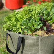 Smart Pot&reg; Urban Lil' Shorty Raised Bed Fabric Planter (Green) Alternate Image 2