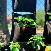 Smart Pot&reg; Wall Flower Hanging Planter 3-Gallon Fabric Planter (Black) Alternate Image 2