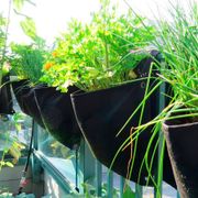 Smart Pot&reg; Wall Flower Saddle Planter 6-Gallon Fabric Planter (Black) Alternate Image 1