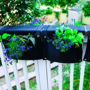 Smart Pot&reg; Wall Flower Saddle Planter 6-Gallon Fabric Planter (Black) Alternate Image 2