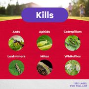 Bonide&reg; Rose Shield&trade; Systemic Rose & Flower Care Granules 8-12-4 (6lb) Alternate Image 3