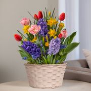 Sweet Celebrations Bulb Garden Thumb