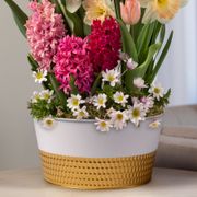 Pink Horizon Bulb Garden Alternate Image 2