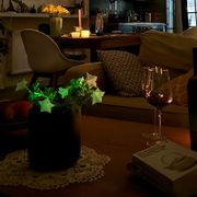 Firefly Petunia Alternate Image 10