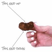 Begonia Fimbriata Red and Orange Blend Bulbs Alternate Image 5