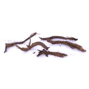 Mertensia Virginia Bluebells Alternate Image 1