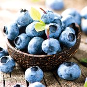 Vaccinium Blueberry Patch Blend Easy Fruit Kit Alternate Image 2