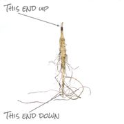 Asclepias 'Hello Yellow' Milkweed Alternate Image 4