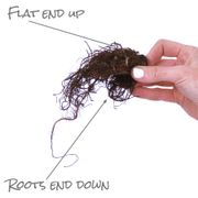 Astilbe 'Sara's Coral' False Spirea Alternate Image 6