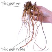 Geranium 'Rozanne' Alternate Image 3