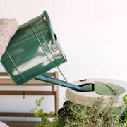 GreenStalk Complete Vertical Garden - 5 Tier Stone Original Alternate Image 6