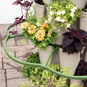 GreenStalk Plant Support Thumb