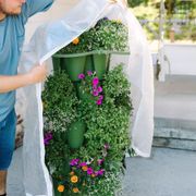 GreenStalk Frost Protection Cover Thumb