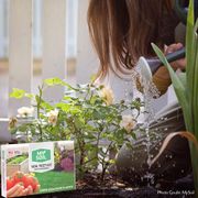 MySoil&reg; Soil Test Kit Alternate Image 8