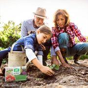 MySoil&reg; Soil Test Kit Alternate Image 10