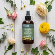 Oasis&reg; Forage Products&trade; Finishing Spritz  8oz-  Step 3 Preserve Alternate Image 1