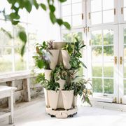 GreenStalk Ultimate Mover Base - Stone Alternate Image 5