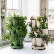 GreenStalk Ultimate Mover Base - Evergreen Alternate Image 9