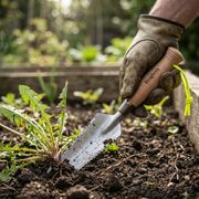 Foxglove Utility Garden Knife Thumb