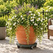 Wagner&reg; 11.4-Inch Round Plant Caddy - Sage Green Thumb