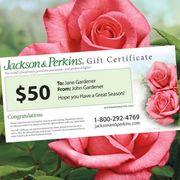 Jackson & Perkins Gift Certificate Thumb