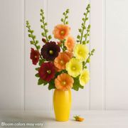 Old Barnyard Mix Hollyhock Alternate Image 4