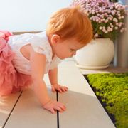 Sagina Irish Moss Alternate Image 2