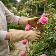 Jackson & Perkins Rose Gloves Alternate Image 3