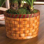 Basket of Joy Amaryllis Alternate Image 2