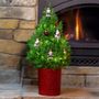 Celebrations by Radko 2025 Potted Christmas Tree