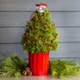 Cardinals Visit Living Tabletop Christmas Tree