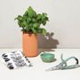 Modern Sprout Growing Gourmet Indoor Herb Garden