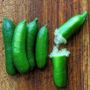 Citrus Australian Finger Lime Tree