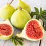 Ficus Desert King Fig