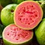 Psidium Tropical Pink Guava