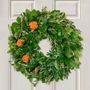 Simply Citrus Dried Orange Wreath