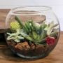 Succulent Terrarium Bowl