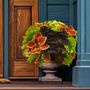 Blooming Block Amped Up MixMasters&trade; Coleus Mix