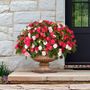 Blooming Block All that Glimmers MixMasters&trade; Double Impatiens Mix