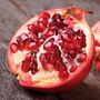 Wonderful Pomegranate Plant