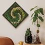 Preserved Moss Wall Art