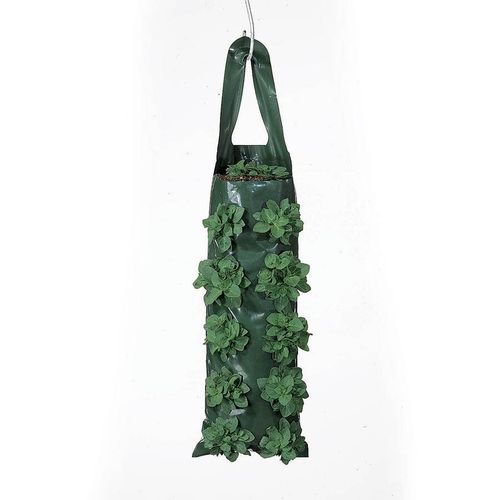 Growin' Bags 10 Hole - Pack of 4 Image