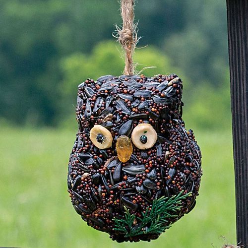 Ollie Owl Bird Seed Gift Set Image