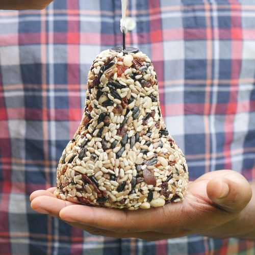Christmas Fruit & Nut Bird Seed Bell Image