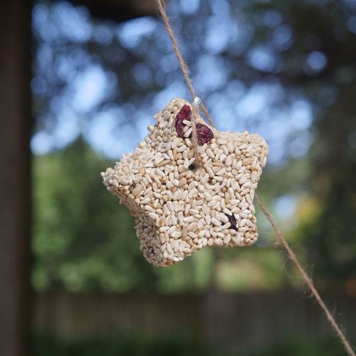 Bird Seed Garland Image