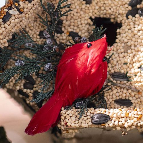 Wren Bird Seed Casita + Cardinal Image